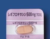 レボフロキサシン錠500mg「TCK」