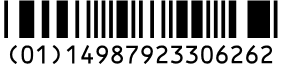 (01)14987923306262